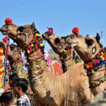 Pushkar fair 2023_Rajasthan